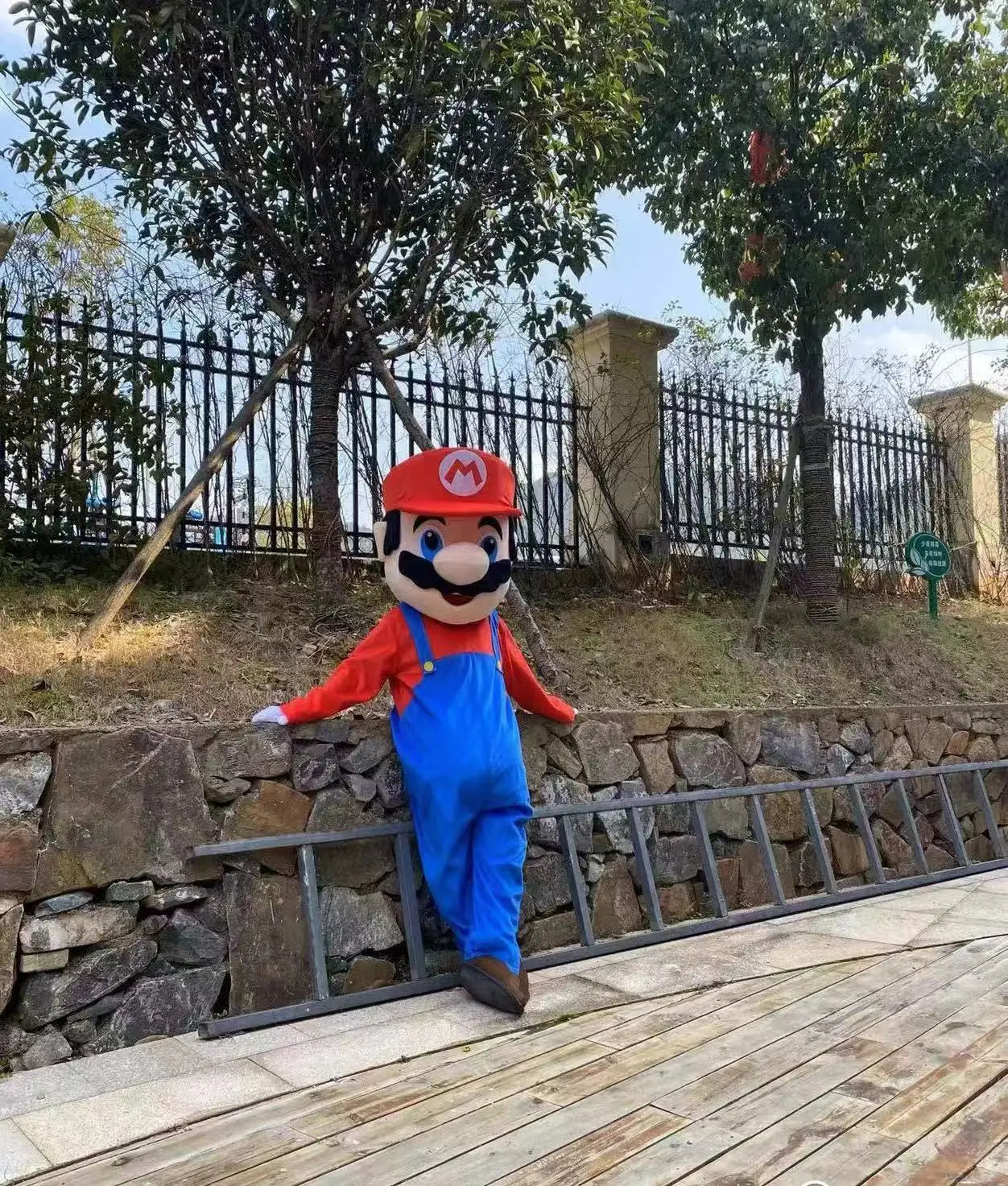 Süper Mario Kostümü (Cosplay Costumes, Personalized Real Walking Doll)